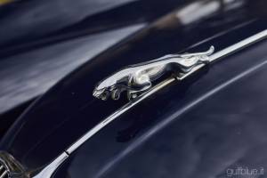 Image 15/50 de Jaguar XK 150 FHC (1958)