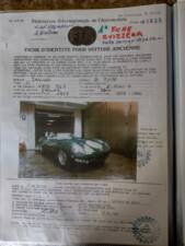 Immagine 64/87 di Jaguar D-Type (1957)