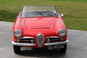 Bild 6/50 von Alfa Romeo Giulia 1600 Spider Veloce (1965)
