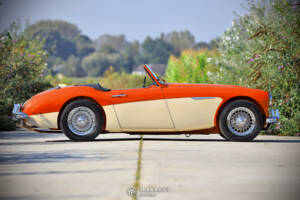 Bild 7/40 von Austin-Healey 3000 Mk I (BN7) (1959)