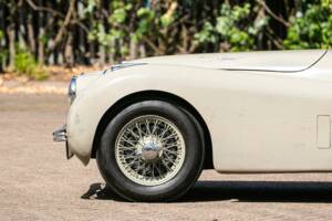 Bild 13/48 von Jaguar XK 120 C (C-Type) (1952)