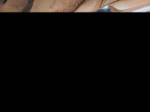 Image 24/33 of Bentley Turbo R lang (1992)