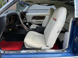 Image 21/50 of Ford Mustang Mach 1 (1969)