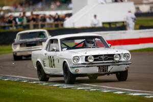 Image 18/20 de Ford Mustang Notchback (1965)