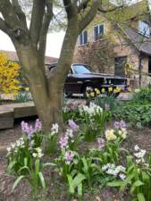 Bild 13/18 von Rover 3500 S (1974)