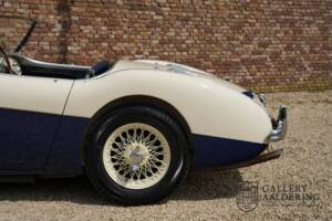 Image 44/50 of Austin-Healey 100/4 (BN1) (1954)
