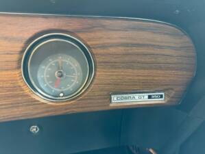 Image 12/31 of Ford Shelby GT 350 (1970)