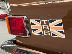Immagine 37/50 di Triumph TR 6 (1974)