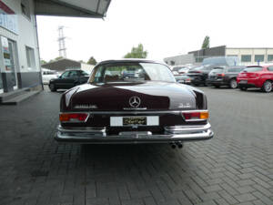 Imagen 5/25 de Mercedes-Benz 280 SE 3,5 (1971)