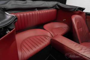 Immagine 6/19 di Austin-Healey 3000 Mk III (BJ8) (1965)
