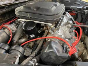 Image 22/50 of Ferrari 308 GTS (1978)