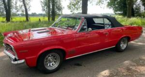 Bild 6/8 von Pontiac Tempest Le Mans (1965)