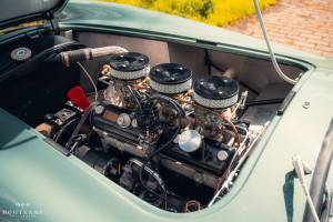 Imagen 20/20 de AC Ace Bristol (1959)