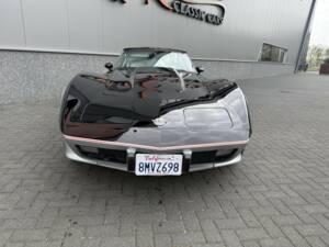 Bild 7/50 von Chevrolet Corvette 25th Anniversary (1978)