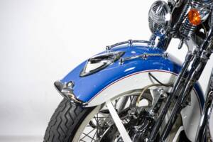 Immagine 12/50 di Harley-Davidson FXSTS Softail Springer (2000)