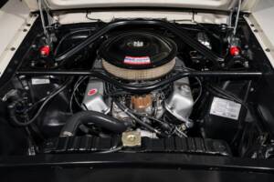 Image 12/22 of Ford Shelby GT 350 (1965)