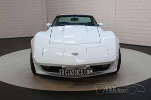 Bild 3/19 von Chevrolet Corvette Sting Ray (1978)