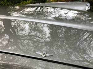 Image 43/50 of Alfa Romeo 2600 Spider (1964)