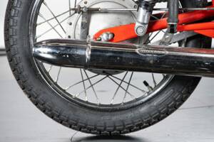 Immagine 16/50 di Aermacchi Ala Verde (1964)