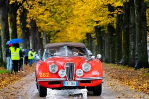 Afbeelding 2/6 van Jaguar XK 120 OTS (1954)