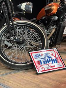 Imagen 40/60 de Harley-Davidson DUMMY (2017)