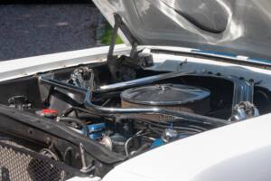 Image 30/54 of Ford Shelby GT 350 (1965)