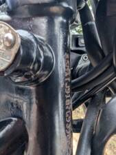 Bild 10/24 von Triumph DUMMY (2009)