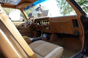 Afbeelding 29/69 van Pontiac Firebird TransAm (1979)