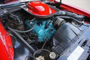 Bild 39/64 von Pontiac Firebird TransAm (1976)