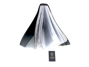 Image 8/30 de American LaFrance Type 75 (1919)