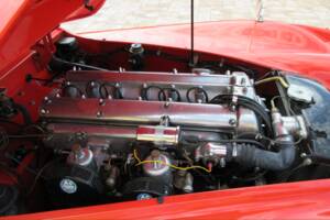 Bild 19/45 von Jaguar XK 120 SE OTS (1954)