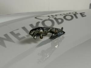 Afbeelding 10/14 van Jaguar XJS 5.3 V12 (1990)