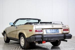 Immagine 16/50 di Triumph TR 8 (1980)