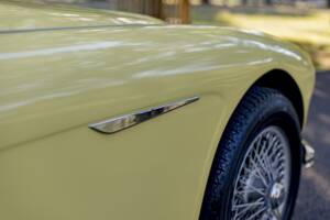 Bild 35/50 von Austin-Healey 3000 Mk I (BT7) (1960)