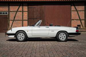 Image 13/40 of Alfa Romeo 2.0 Spider (1987)