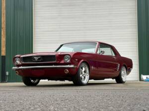 Bild 12/47 von Ford Shelby GT 350 (1966)