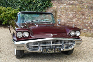 Image 19/50 of Ford Thunderbird (1960)