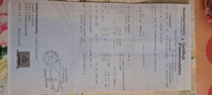 Image 7/7 de Alfa Romeo 2.0 Spider QV (1986)
