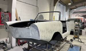 Afbeelding 16/35 van Amphicar 770 (1962)