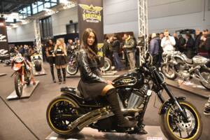 Bild 1/23 von Victory Hammer 8-Ball (2009)