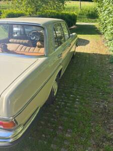 Image 7/52 of Mercedes-Benz 250 SE (1966)
