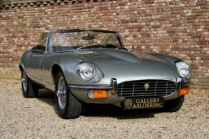 Bild 22/50 von Jaguar Type E V12 (1973)