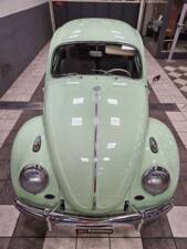 Immagine 3/19 di Volkswagen Beetle 1200 A (1964)