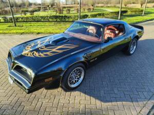 Bild 4/8 von Pontiac Firebird TransAm (1977)