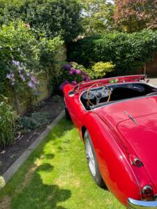 Bild 19/150 von Austin-Healey 100/4 (BN1) (1955)