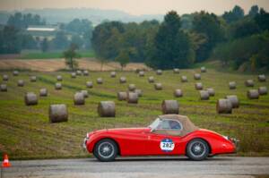 Bild 29/45 von Jaguar XK 120 SE OTS (1954)