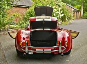 Image 17/50 de AC Cobra 289 (2000)