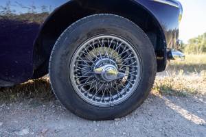 Bild 13/16 von MG MGB (1964)