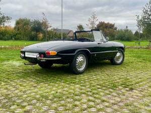 Bild 8/24 von Alfa Romeo 1600 Duetto (1966)