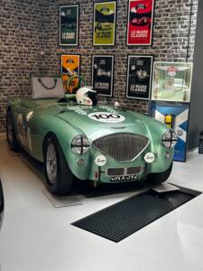 Immagine 25/40 di Austin-Healey 100/4 (BN1) (1954)